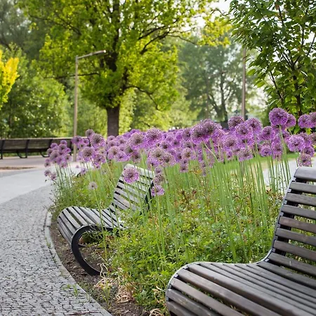 A Moze Mazury 公寓